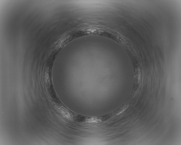 X0000061140754200511181207
