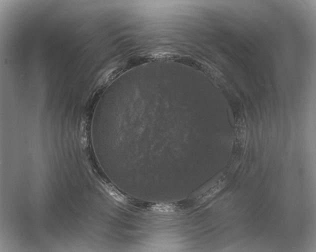 X0000061140762200511181208