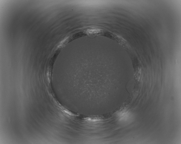 X0000061140763200511181208