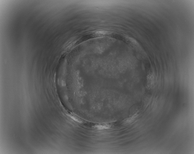 X0000061140765200511181208