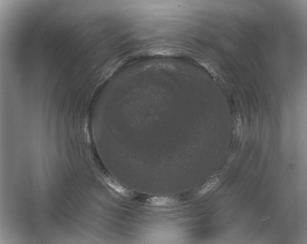 X0000061140766200511181208
