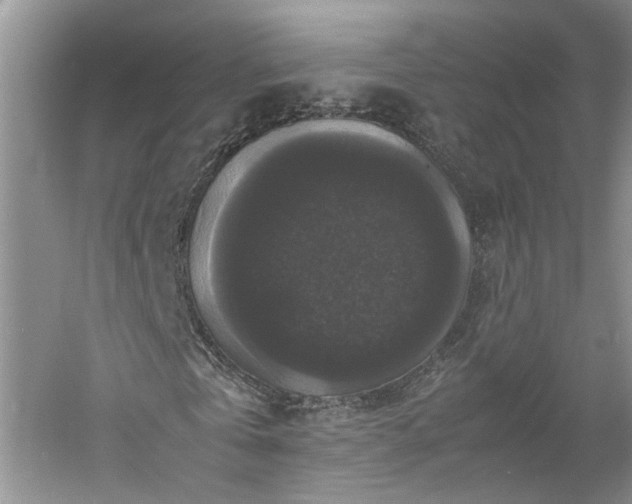 X0000061140769200511181207