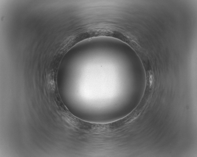 X0000061140771200511181207