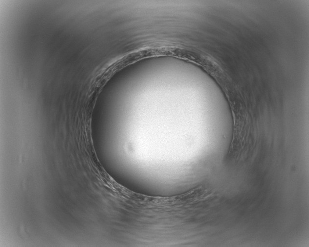 X0000061140773200511181207