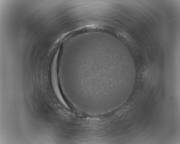 X0000061140776200511181207