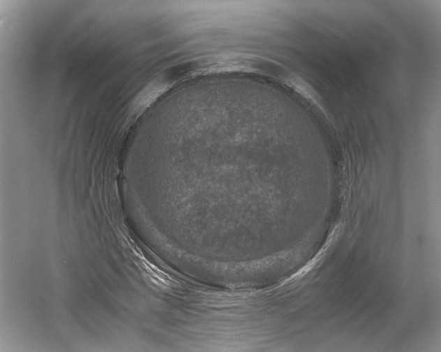 X0000061140777200511181207