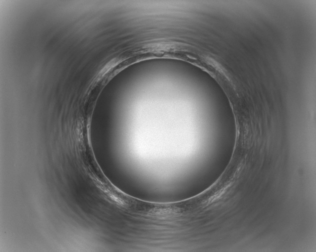 X0000061140778200511181207