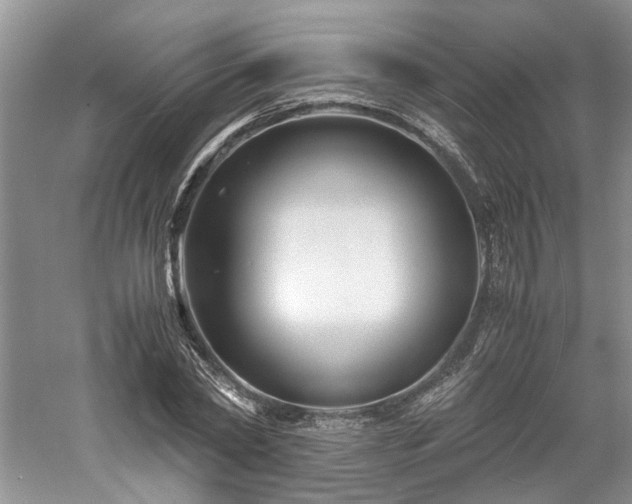 X0000061140782200511181207