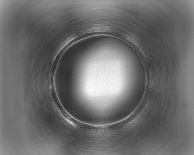 X0000061140786200511181207