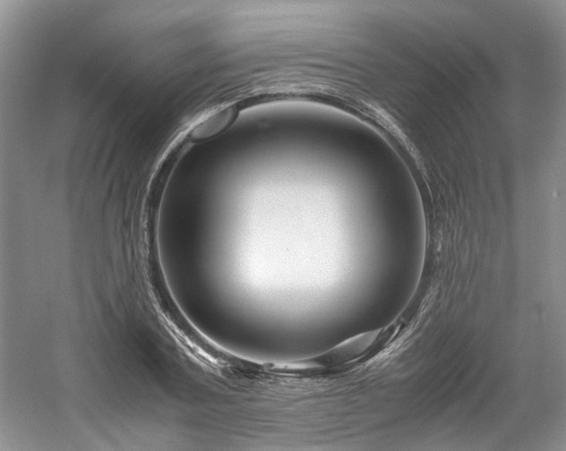 X0000061140787200511181207