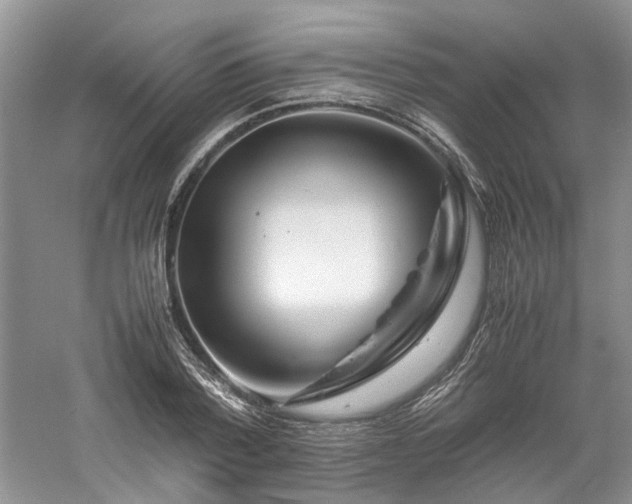 X0000061140788200511181207