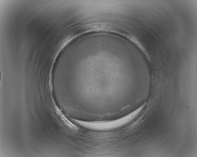 X0000061140791200511181207