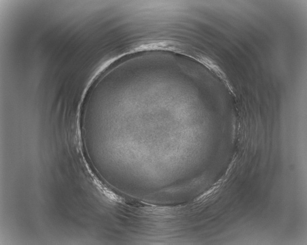 X0000061140792200511181207