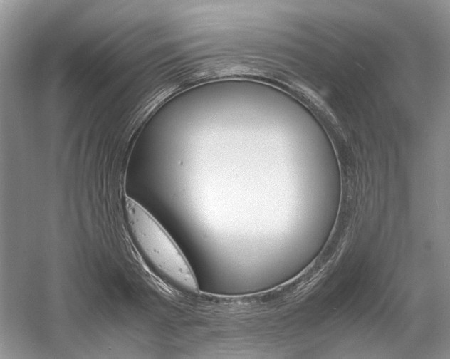 X0000061140793200511181206