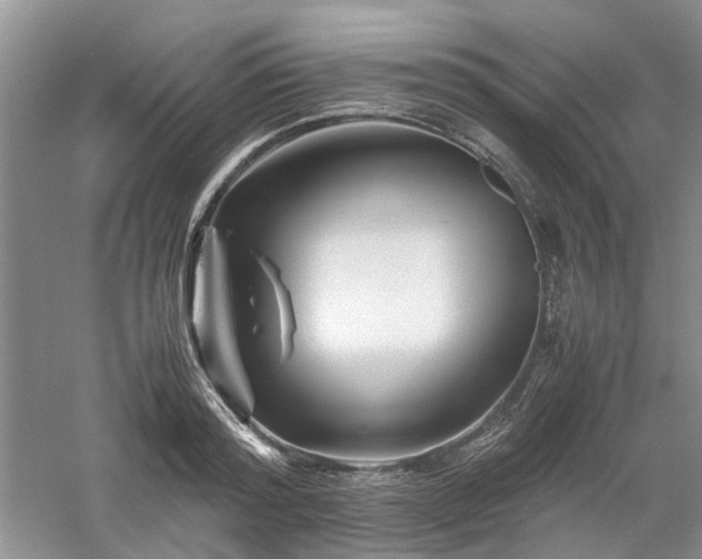 X0000061140796200511181206