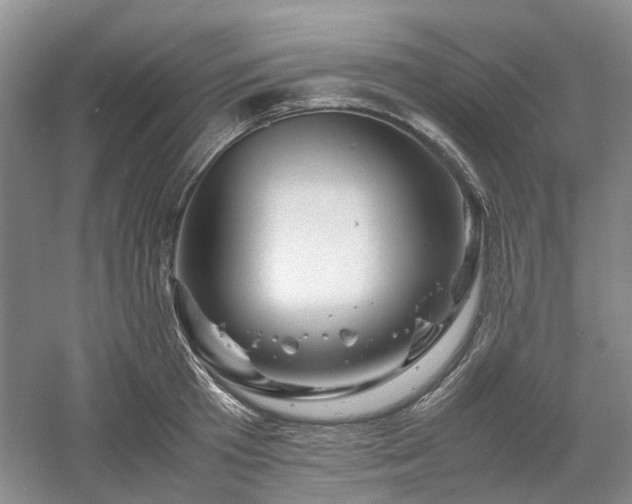X0000061140801200511181206