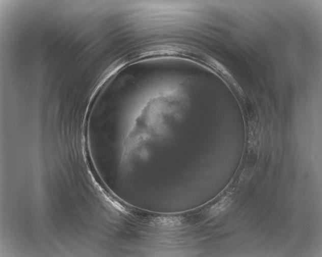 X0000061140802200511181206