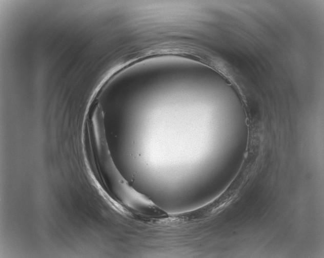 X0000061140803200511181206
