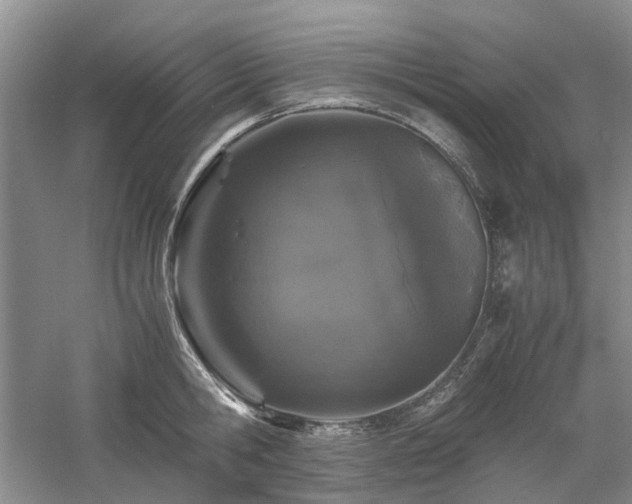 X0000061140806200511181206