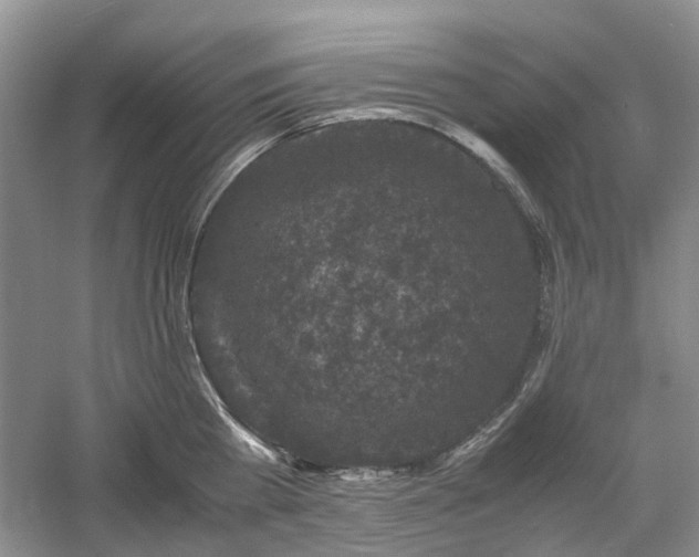 X0000061140809200511181206