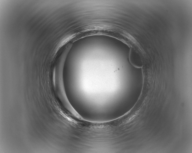 X0000061140826200511181205