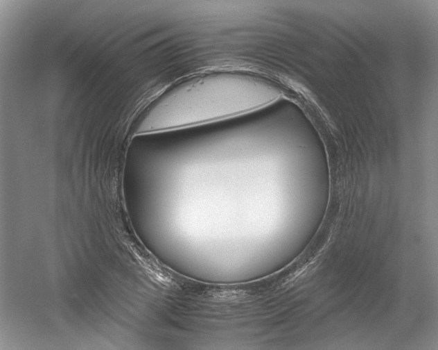 X0000061140833200511181206