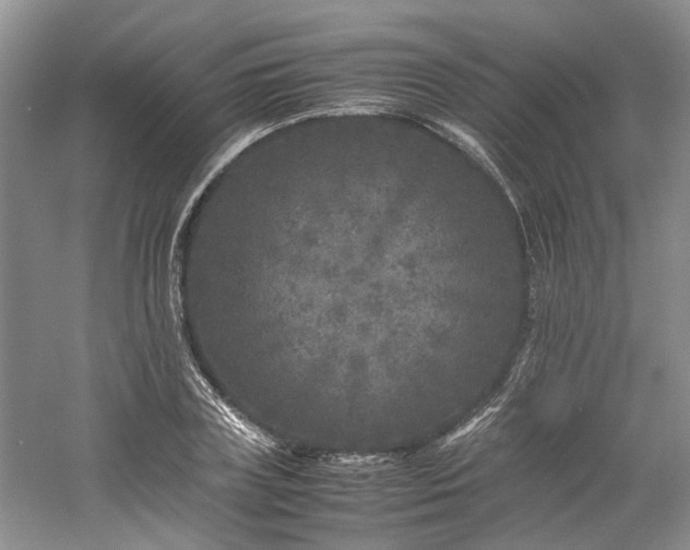 X0000061140835200511181206