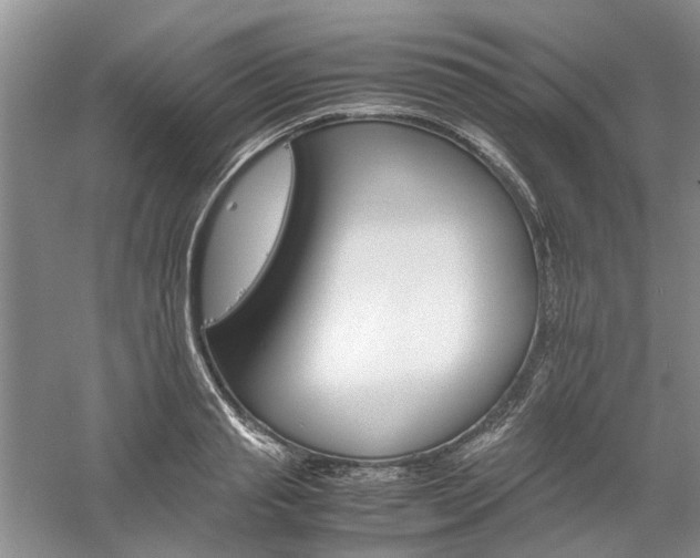 X0000061140845200511181206
