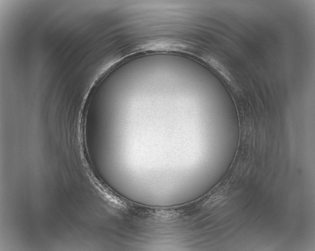 X0000061140848200511181206