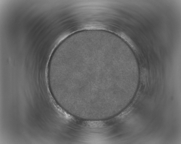 X0000061140856200511181206