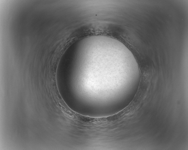 X0000061140865200511181205