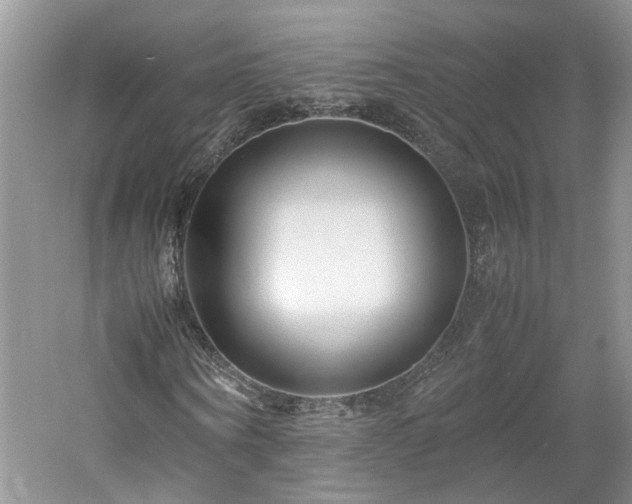X0000061140866200511181205