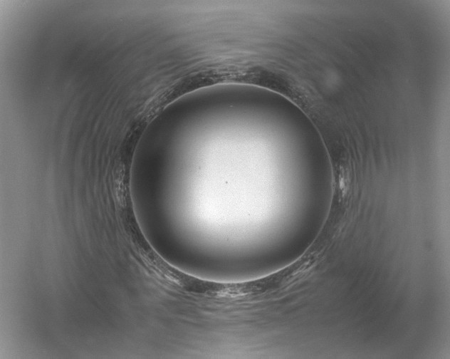 X0000061140867200511181205