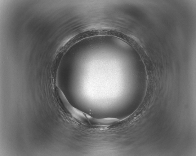 X0000061140871200511181205