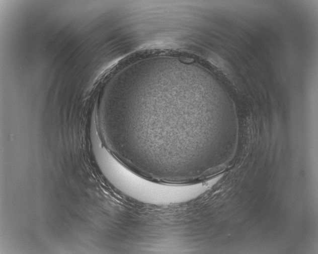 X0000061140872200511181205