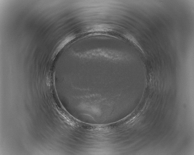 X0000061140874200511181205
