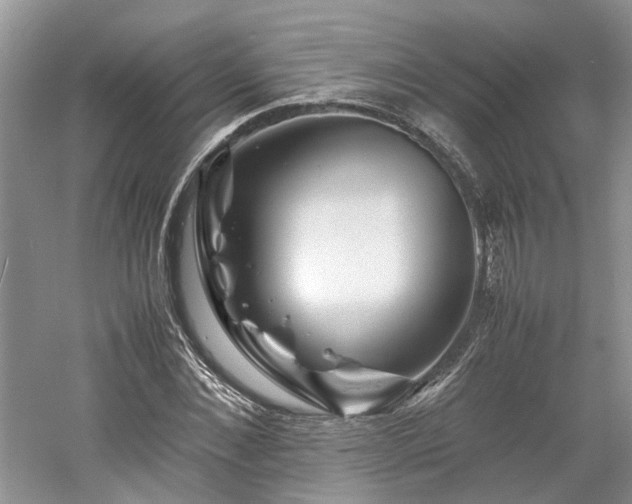 X0000061140876200511181205