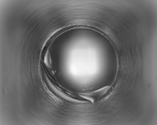 X0000061140880200511181205