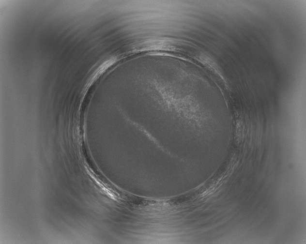 X0000061140882200511181205