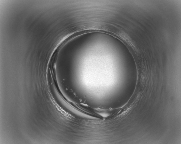 X0000061140884200511181205