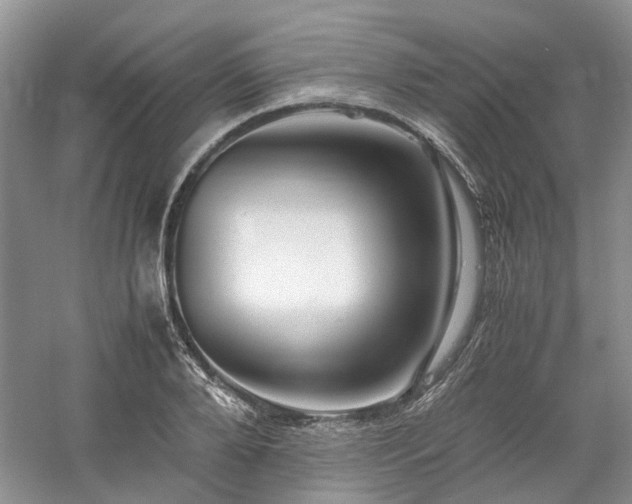 X0000061140888200511181205