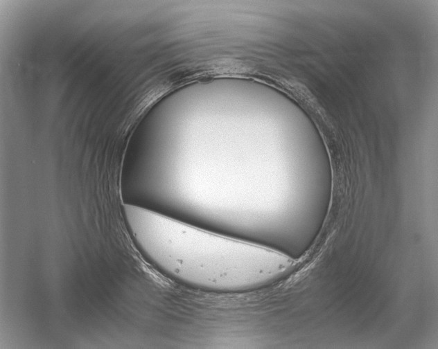 X0000061140889200511181205
