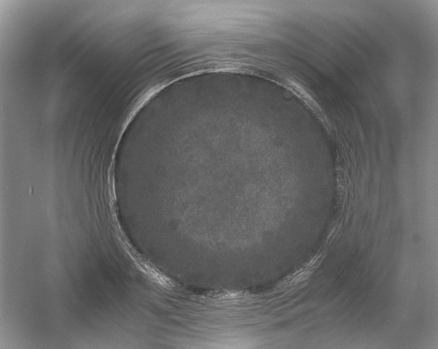 X0000061140891200511181205