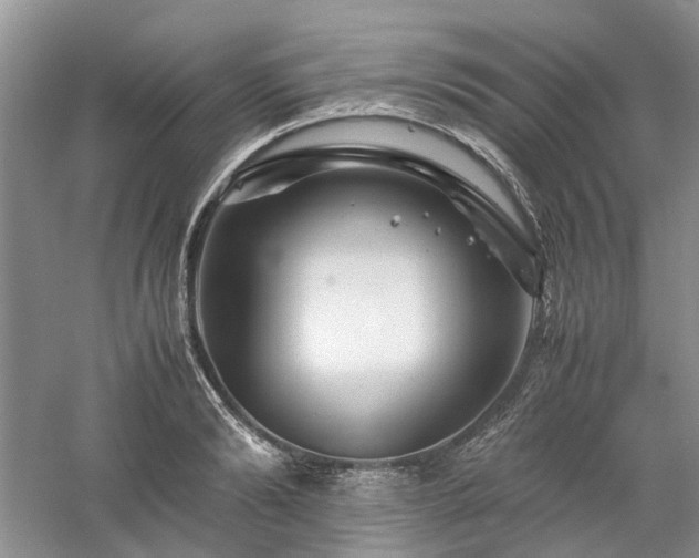 X0000061140894200511181205