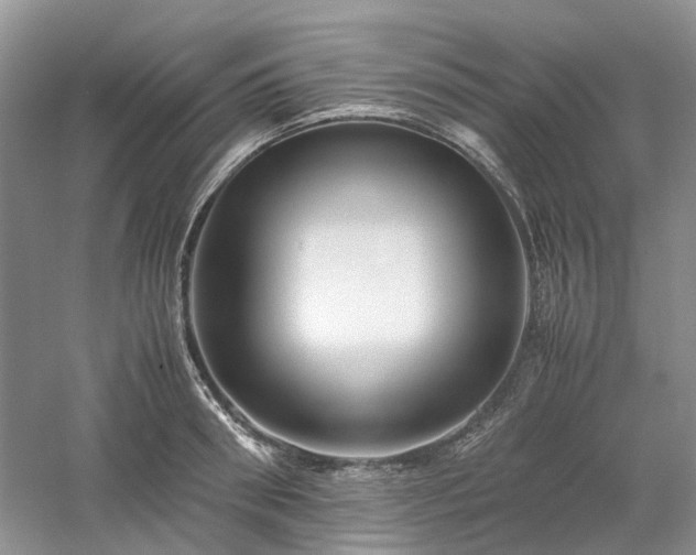 X0000061140898200511181205