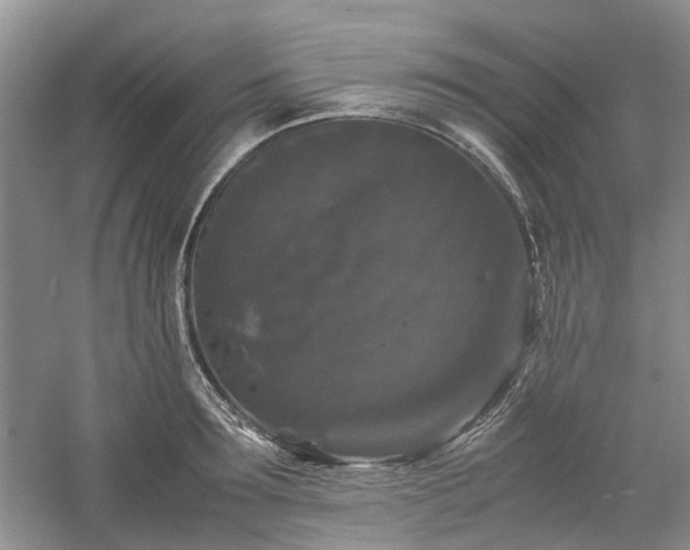 X0000061140899200511181205