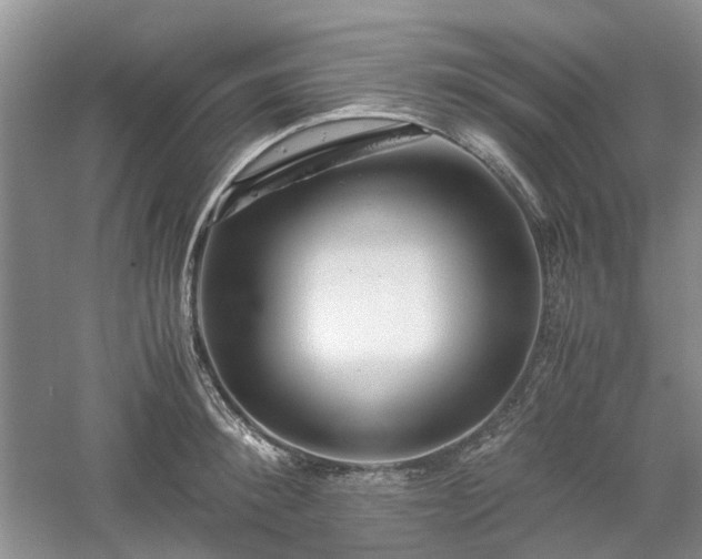 X0000061140900200511181205