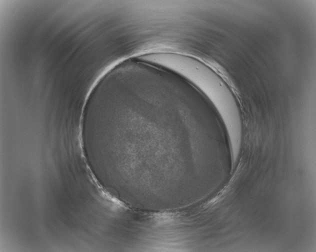 X0000061140904200511181205