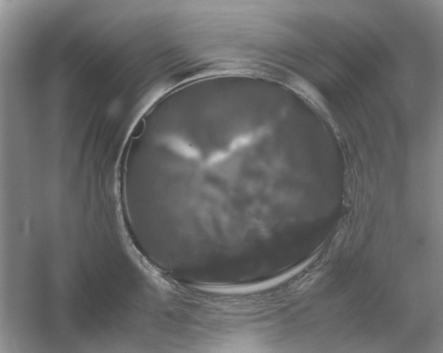 X0000061140907200511181204