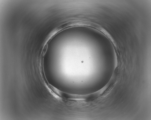 X0000061140909200511181204